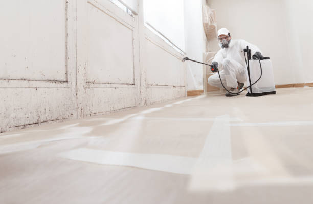 24/7 Emergency Basement Mold Remediation experts in Dendron, VA